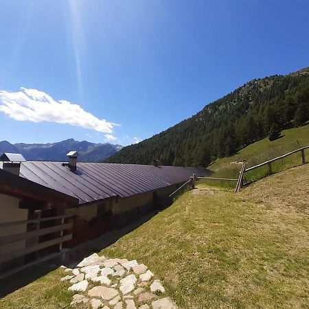 Restor Natura Malga Mondent Hotel Pracorno di Rabbi Kültér fotó
