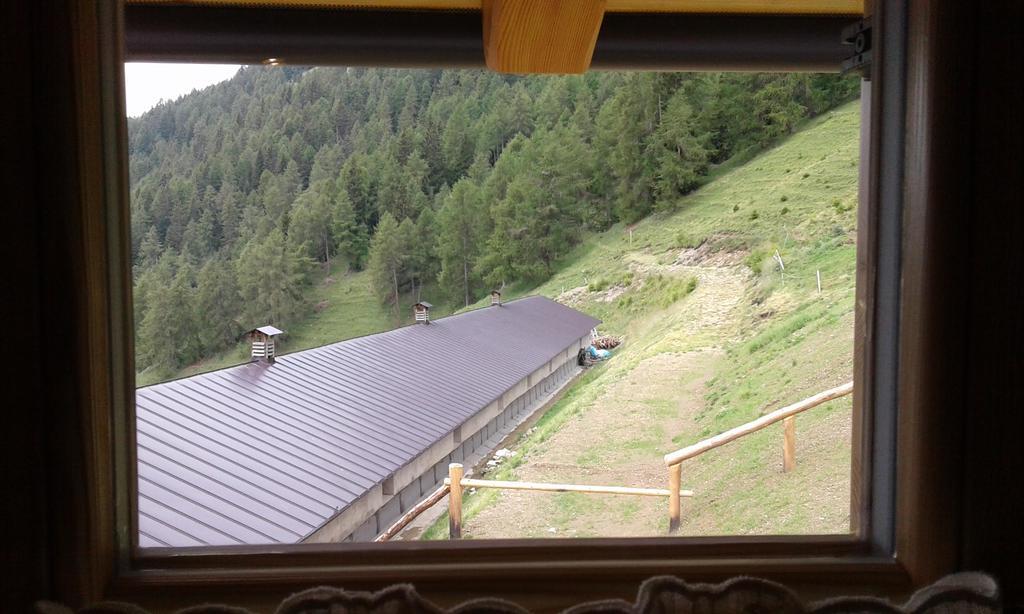 Restor Natura Malga Mondent Hotel Pracorno di Rabbi Kültér fotó
