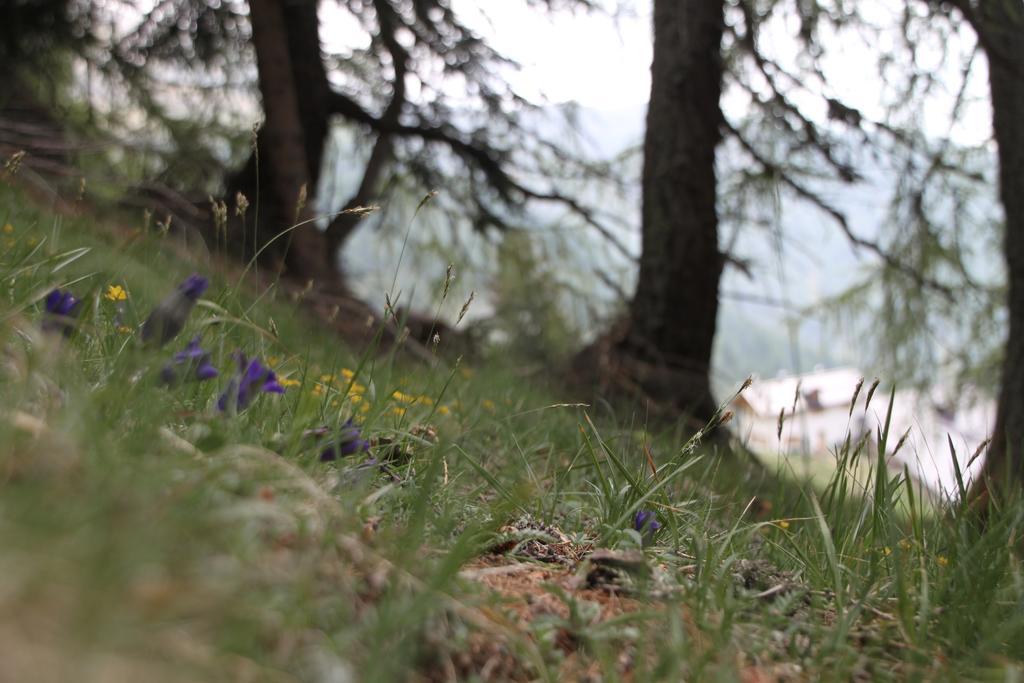 Restor Natura Malga Mondent Hotel Pracorno di Rabbi Kültér fotó